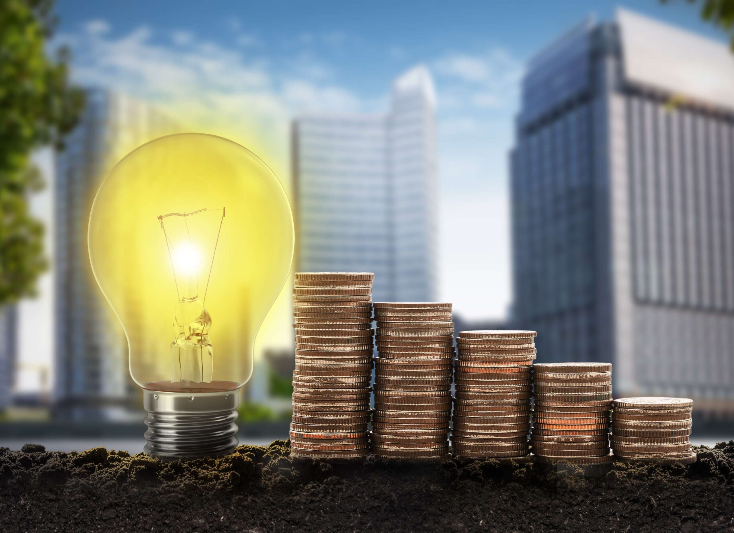 Pourquoi la gestion de portefeuilles à Montréal attire de plus en plus de jeunes investisseurs